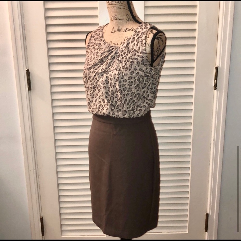 🦄 NWT LOFT Leopard shift dress, size 8P - Picture 2 of 7